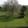 View from lounge and kitchen windows