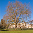 The view of the flat from inside Clarence Square's park